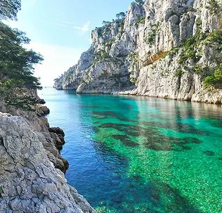 Capitaine Pirrodi * לה קיוטאט